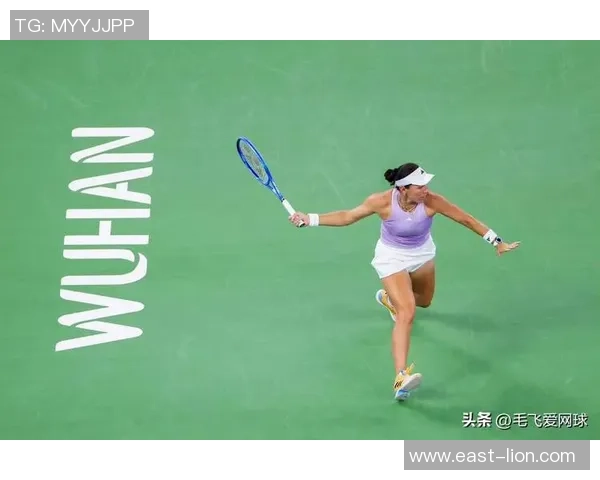 深圳网球队实力揭秘：网球巨献背后的故事与成就