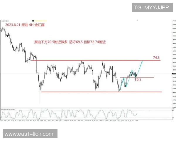 武汉攀岩队的区域防守策略与技术深度解析
