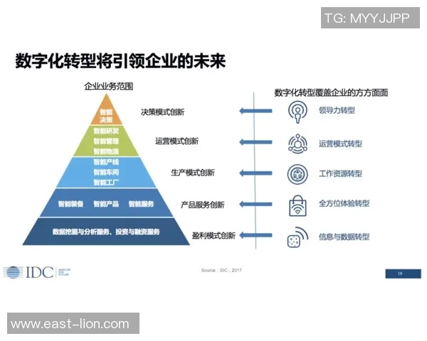 重磅专题解析西安排球队包夹战术的创新与发展趋势 重磅专题解析西安排球队包夹战术的创新与发展趋势