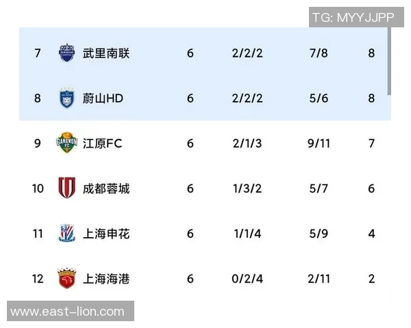 成都排球队以91分领跑世界锦标赛积分榜展现强大实力